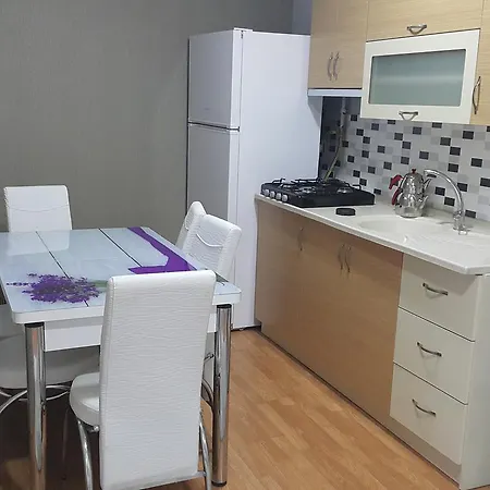 Apartment Tulipa *
