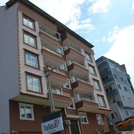 Tulipa Trabzon